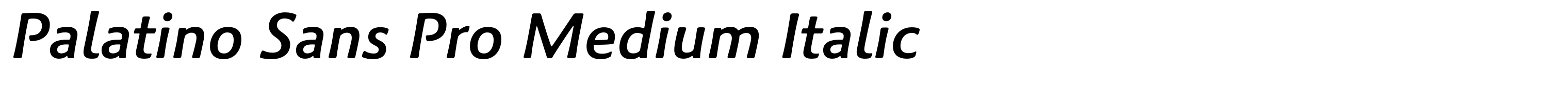 Palatino Sans Pro Medium Italic